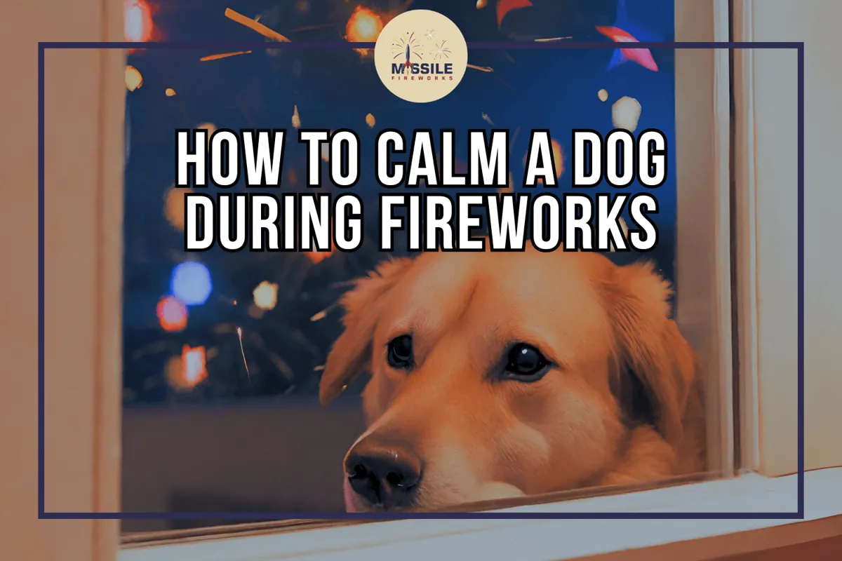 How to Calm a Dog During Fireworks: Expert Tips