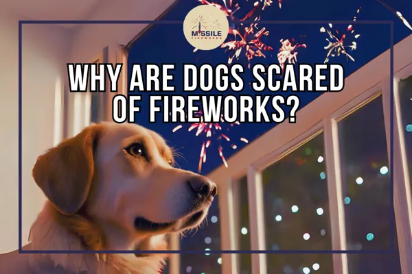 Why Are Dogs Scared of Fireworks? Tips for a Pet-Friendly Celebration
