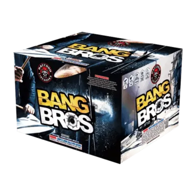 Bang Bros 44’S