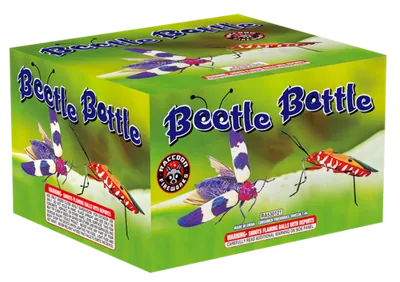 Beetle Battle 40’S