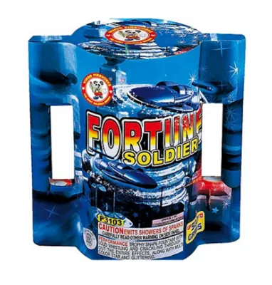 Fortune Soldier