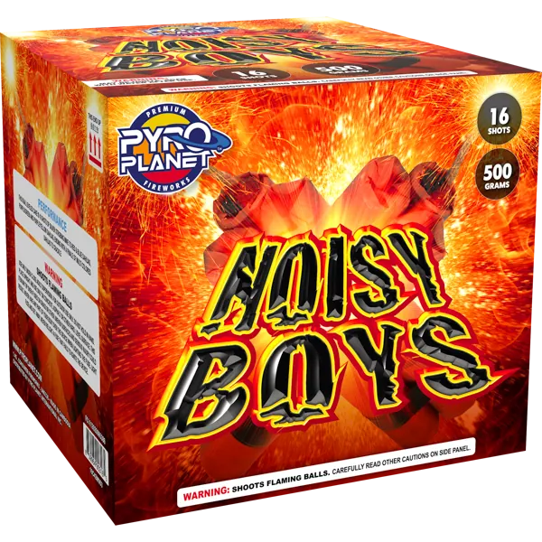 Noisy Boys