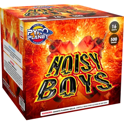 Noisy Boys